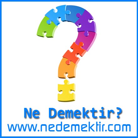 ne demektir?